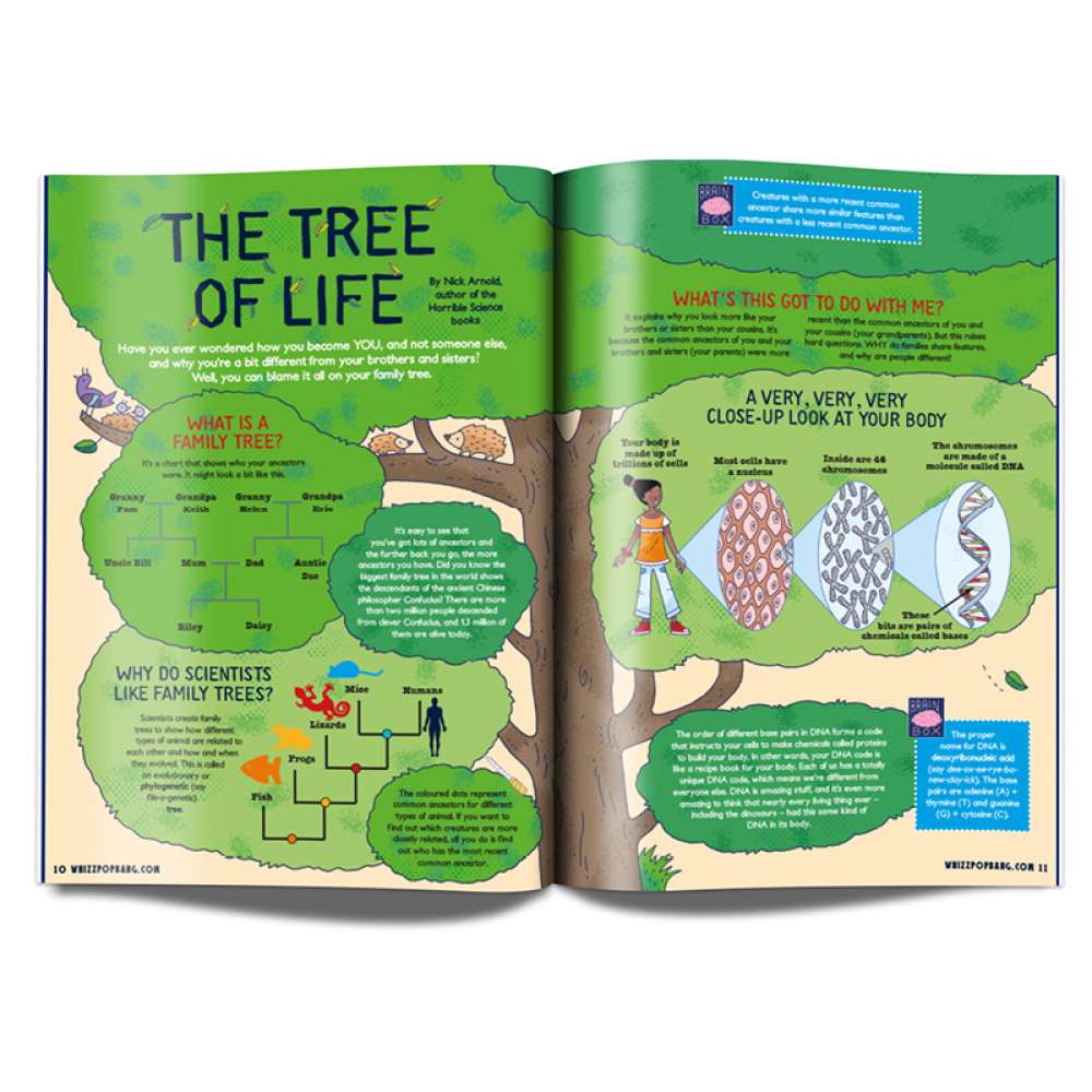 Issue 19 - out of stock image 3