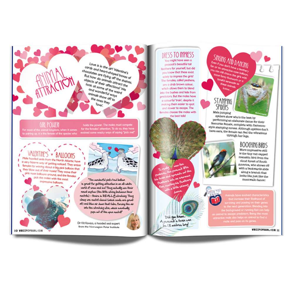 Issue 7 image 3