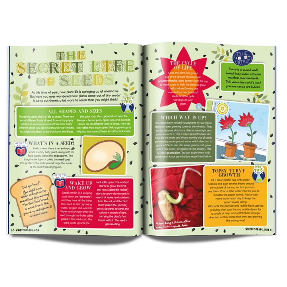 Issue 9 - OUT OF STOCK - do not purchase image 3