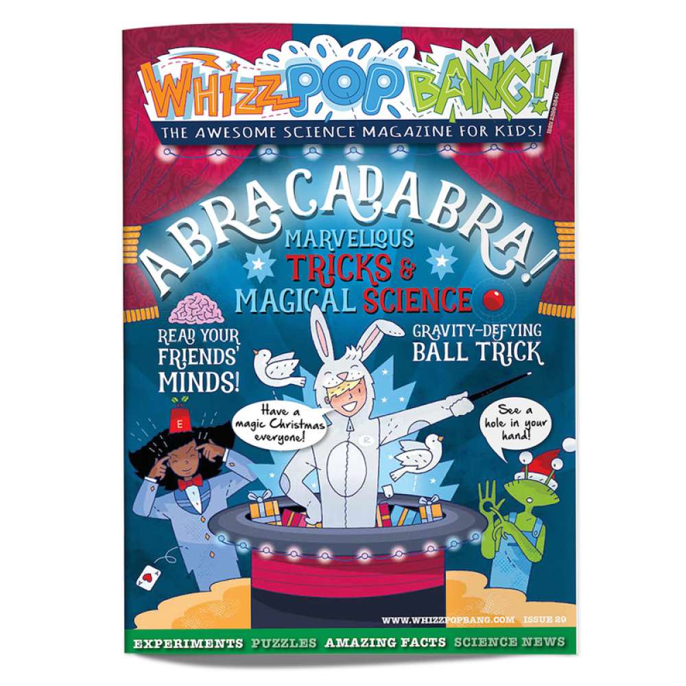 Issue 29 image 1