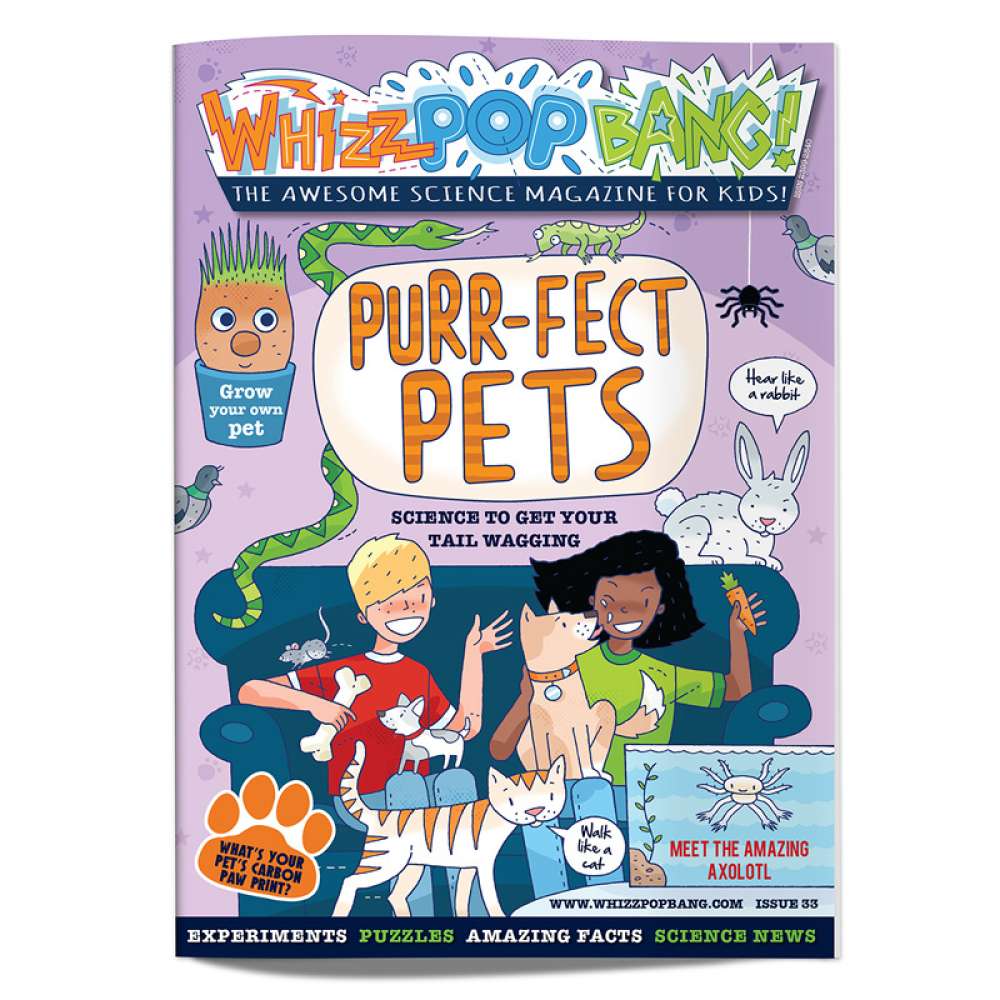 Issue 33 OUT OF STOCK - do not purchase image 1