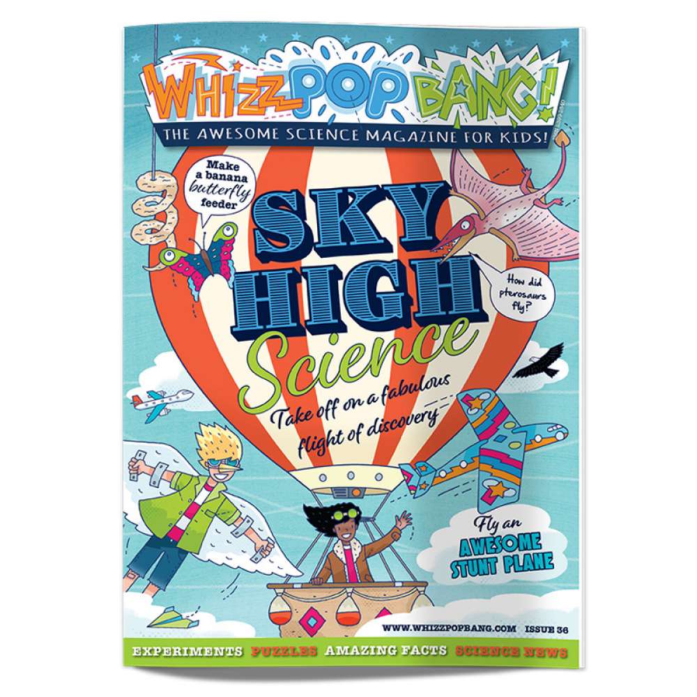 Issue 36 - OUT OF STOCK - do not purchase image 1