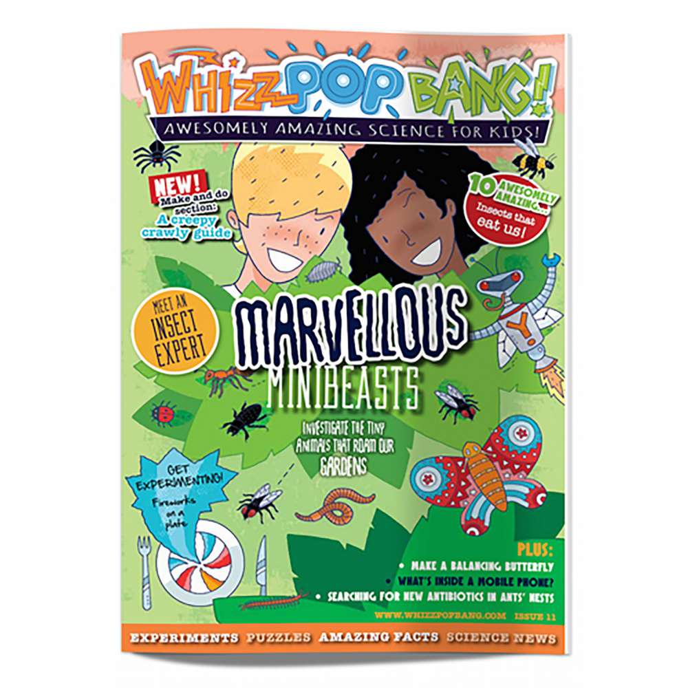 Issue 11 - OUT OF STOCK - do not purchase image 1