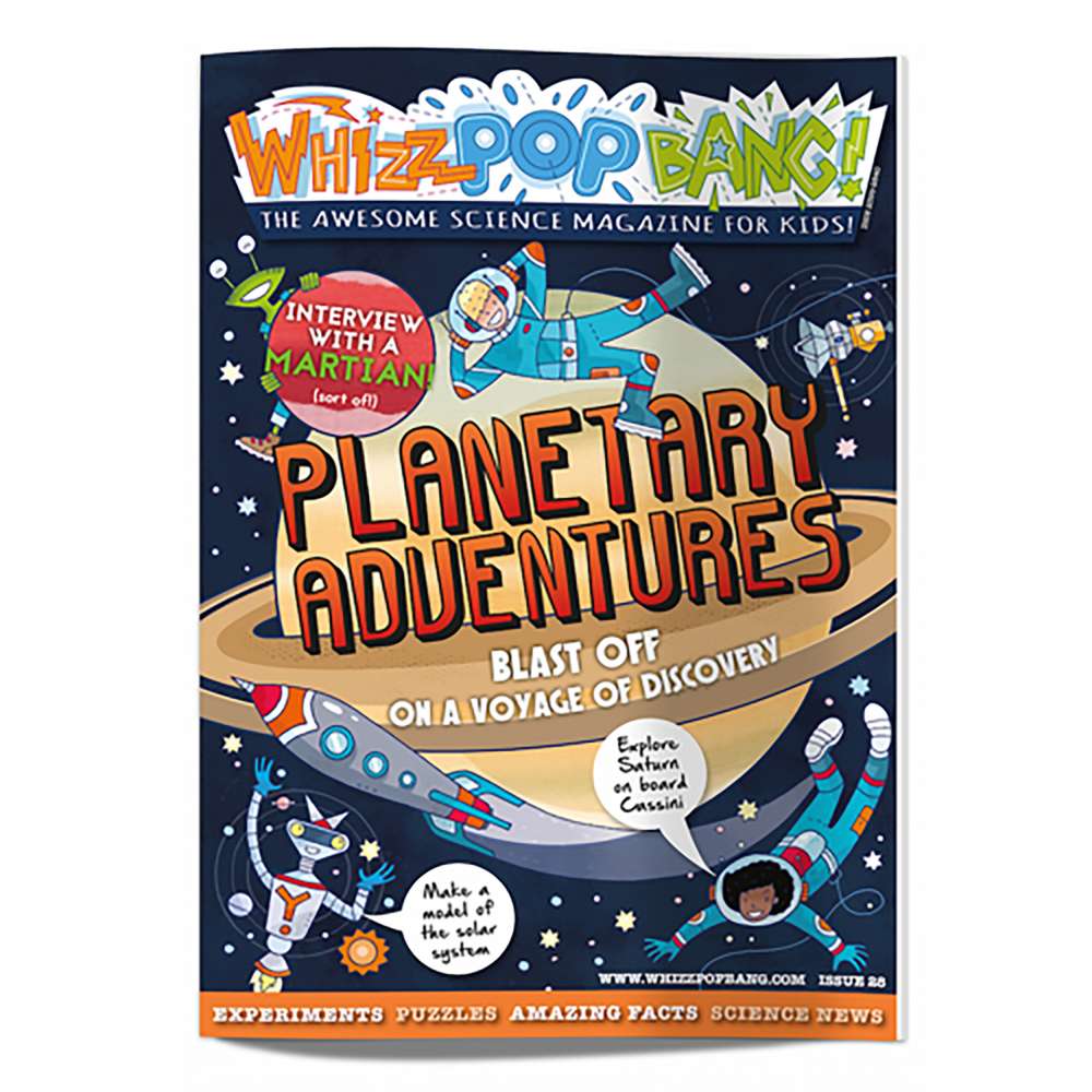 Issue 28 - OUT OF STOCK - do not purchase image 1