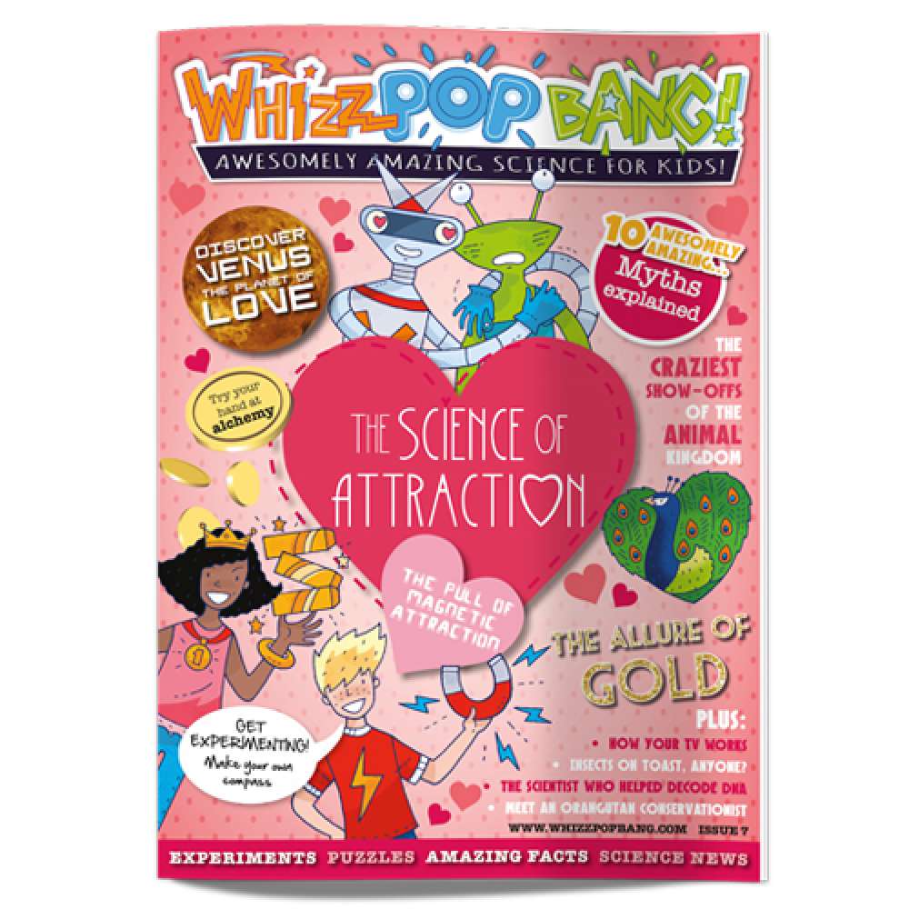Issue 7 image 1