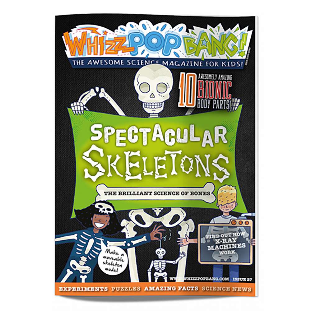 Issue 27 image 1