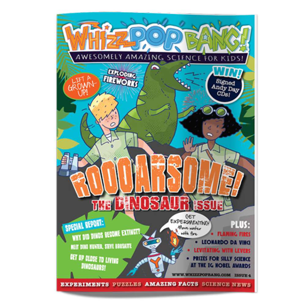 Issue 4 - out of stock image 1