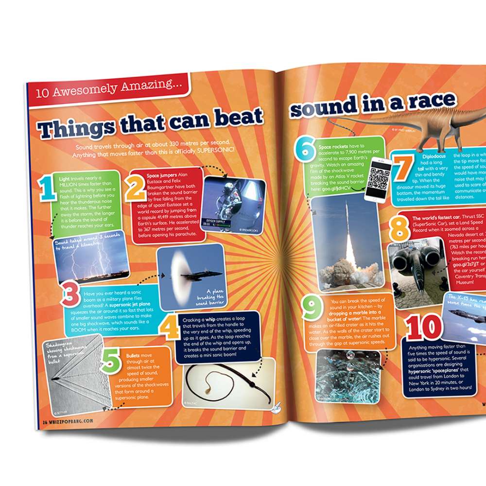 Science for the senses bundle image 5