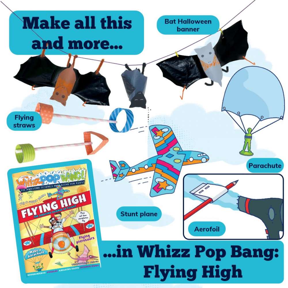 Issue 135 image 5