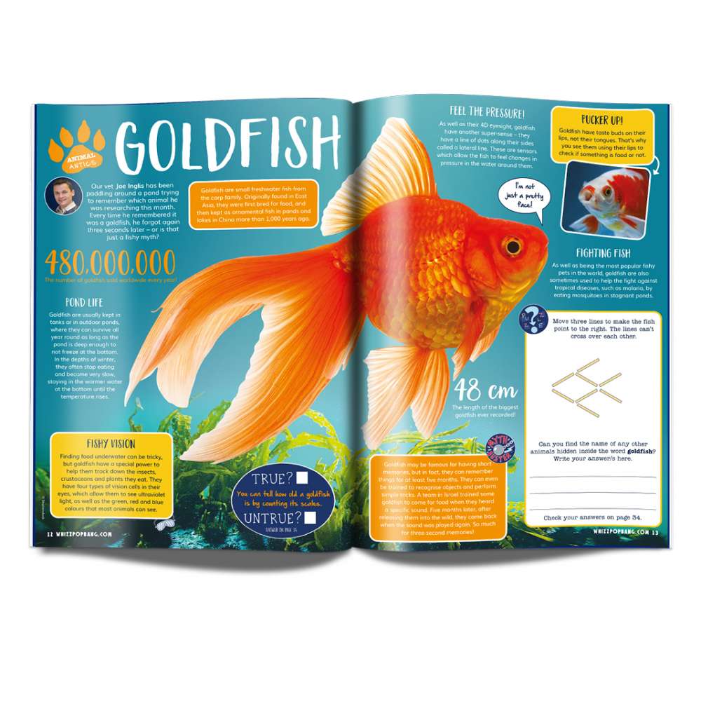 Issue 56 image 4