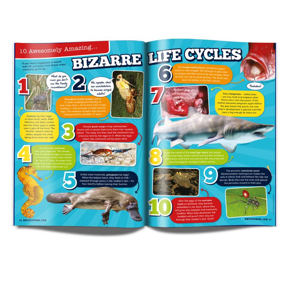 Issue 56 image 3