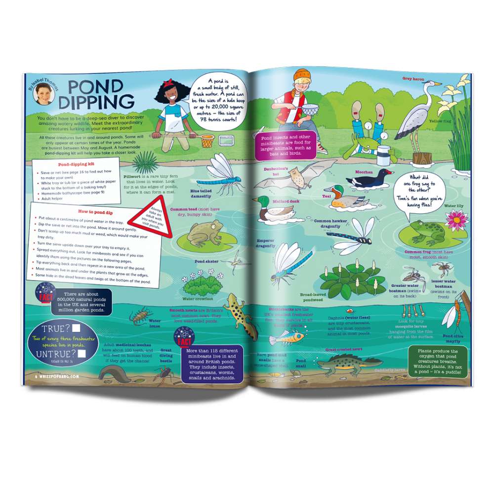 Issue 56 image 2
