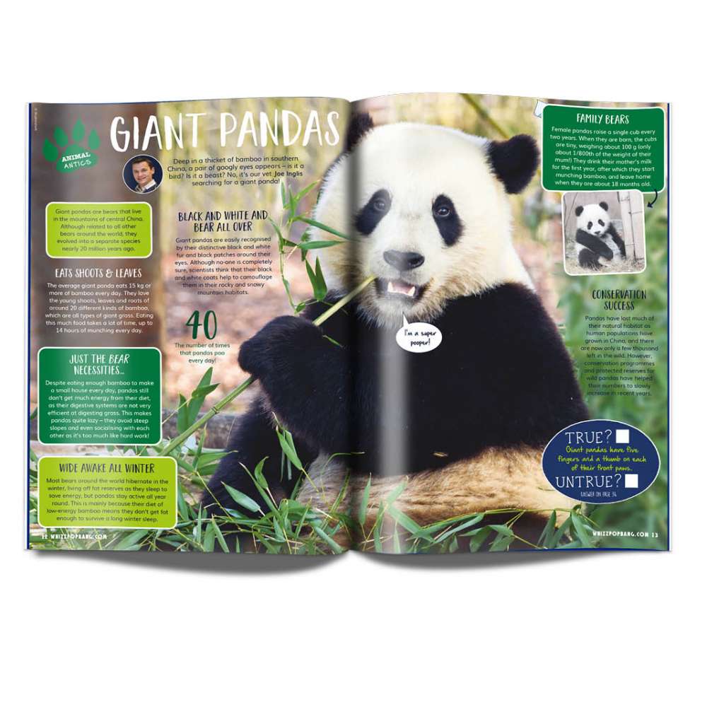 Issue 58 image 3