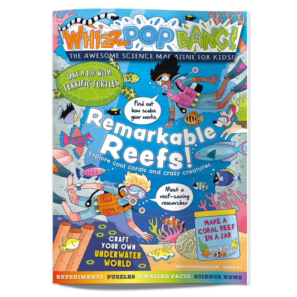 Issue 60 image 1