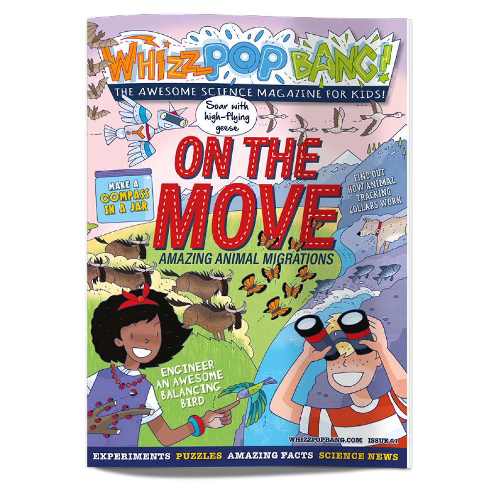 Issue 61 image 1
