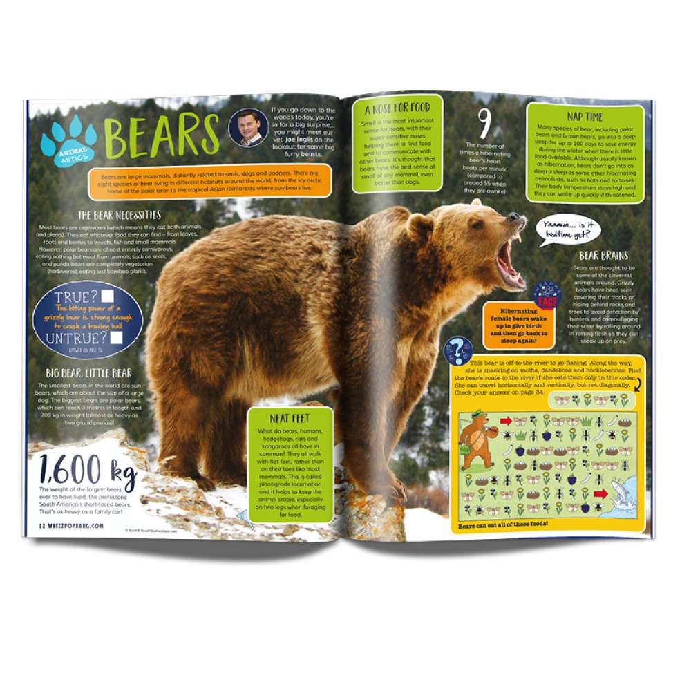 Issue 63 image 4