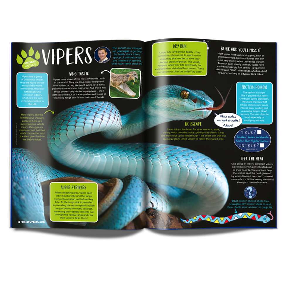 Issue 70 image 3