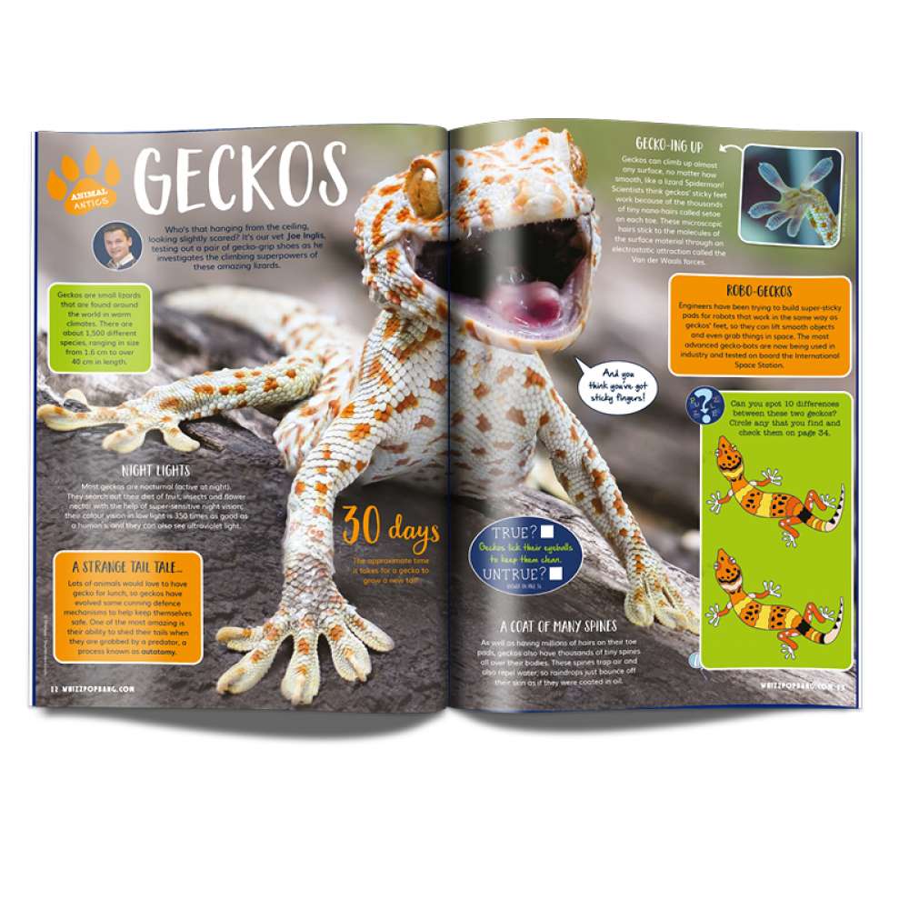 Issue 71 image 3