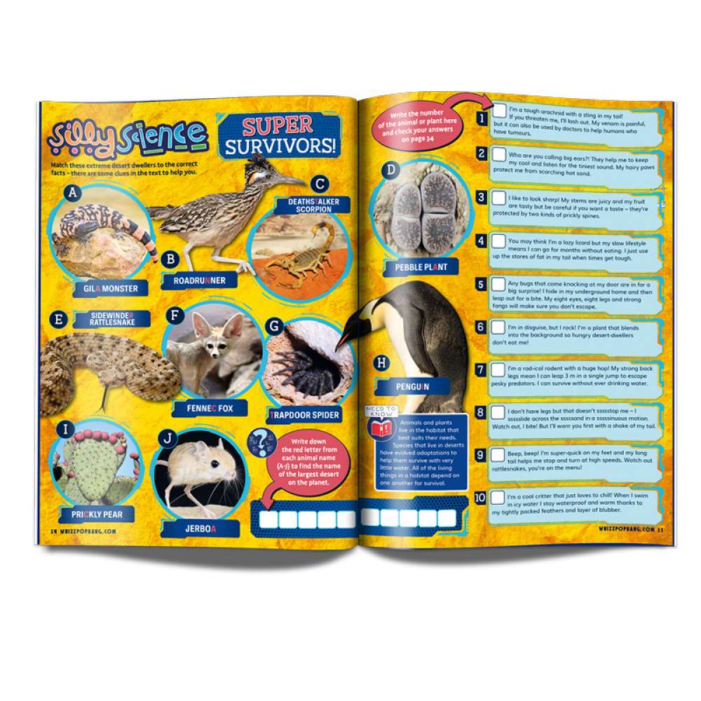 Issue 73 image 4