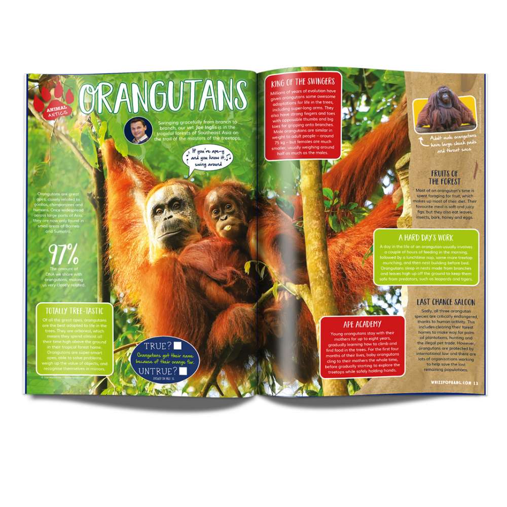Issue 75 image 4