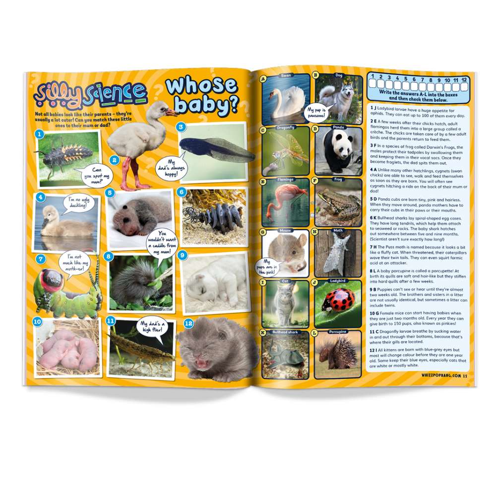 Issue 81 image 3