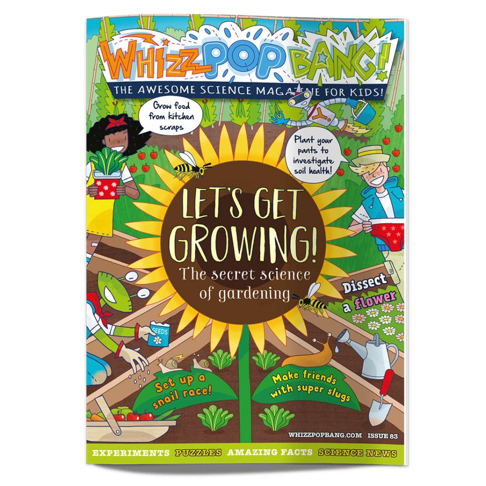 Issue 83 image 1