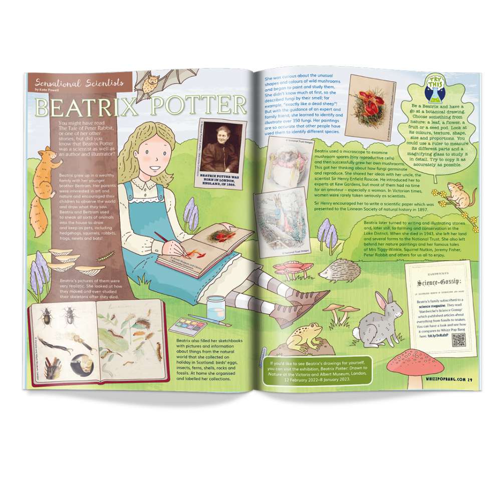 Issue 83 image 4