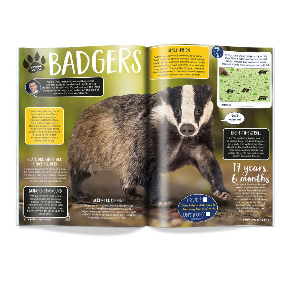 Issue 87 image 4