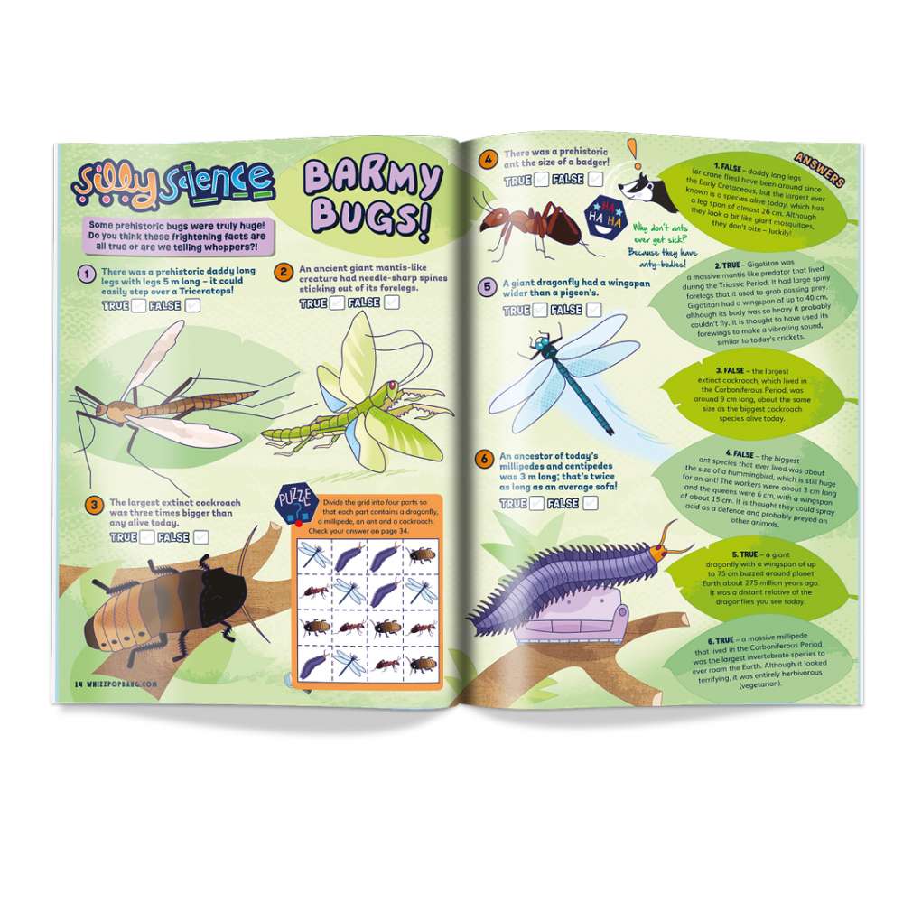 Issue 88 image 4