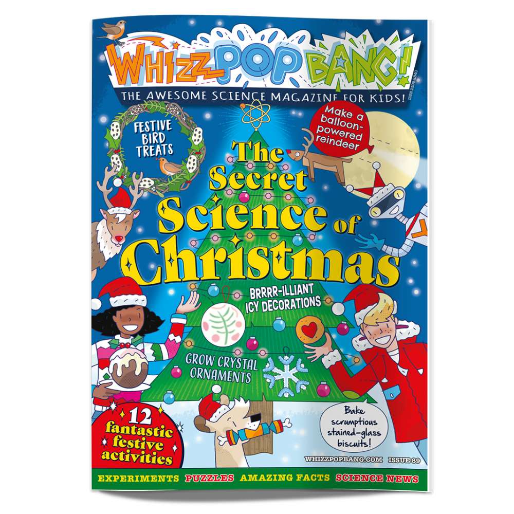 Christmas Holiday Bundle image 3