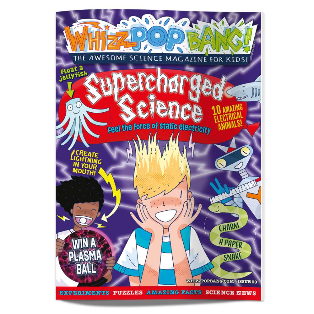 Curious Science Bundle image 2