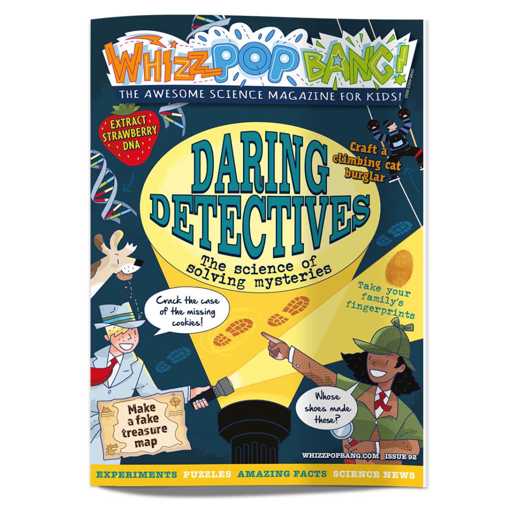 Boredom-busting science bundle image 5