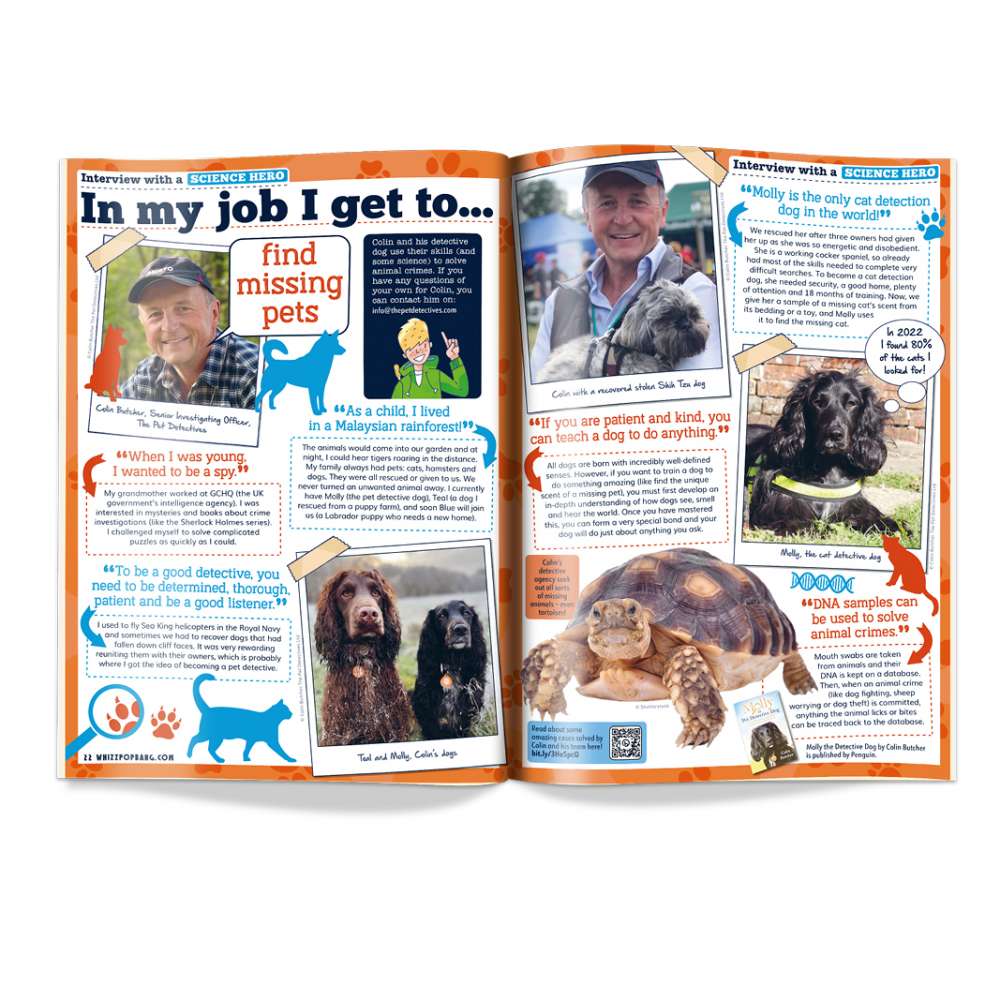 Issue 92 image 4