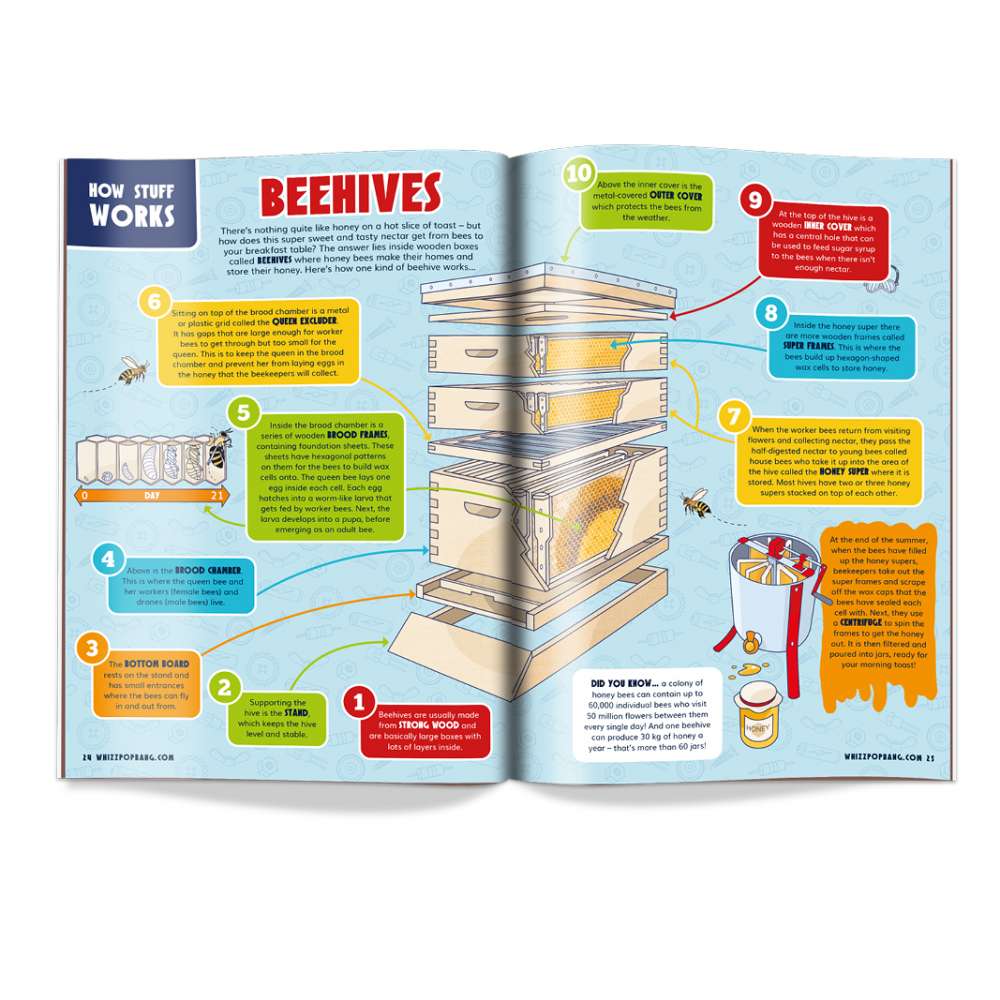 Issue 94 image 4