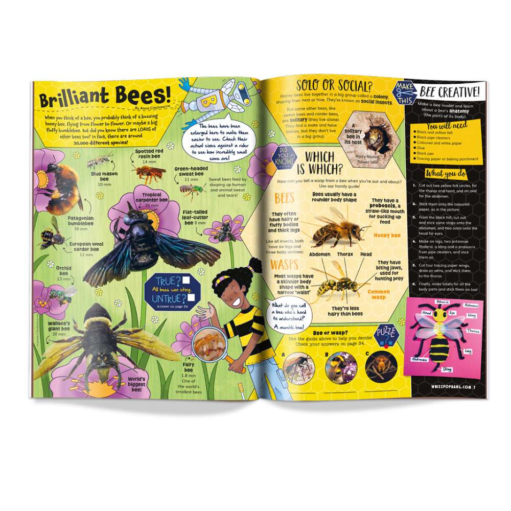 Issue 94 image 2