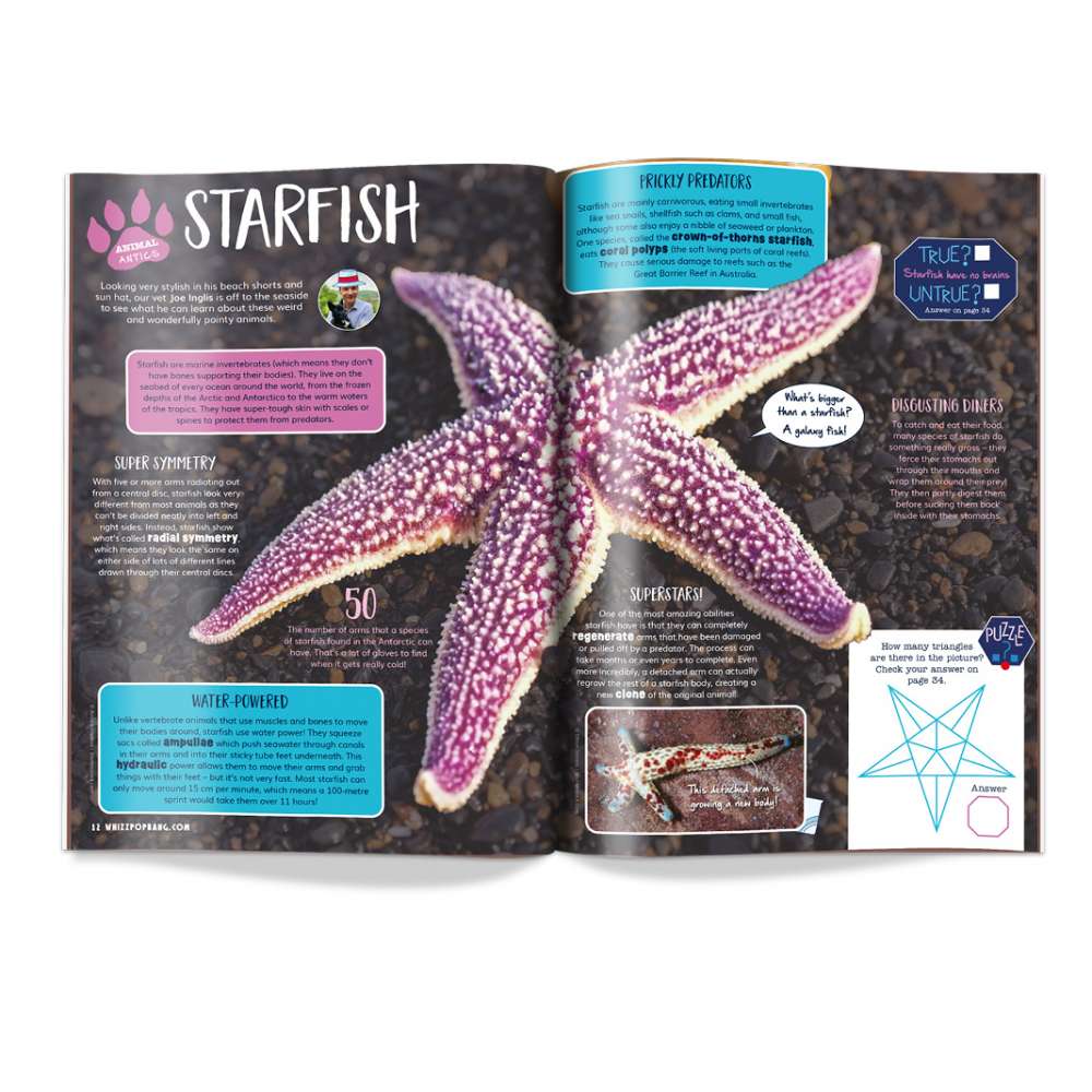 Issue 96 image 4