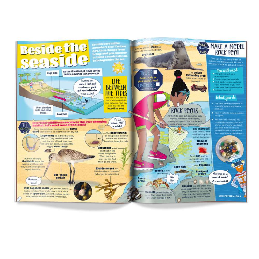 Issue 96 image 2