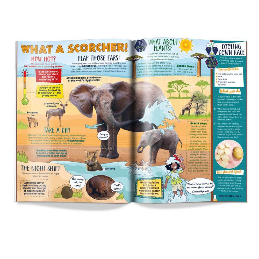 Issue 97 image 2