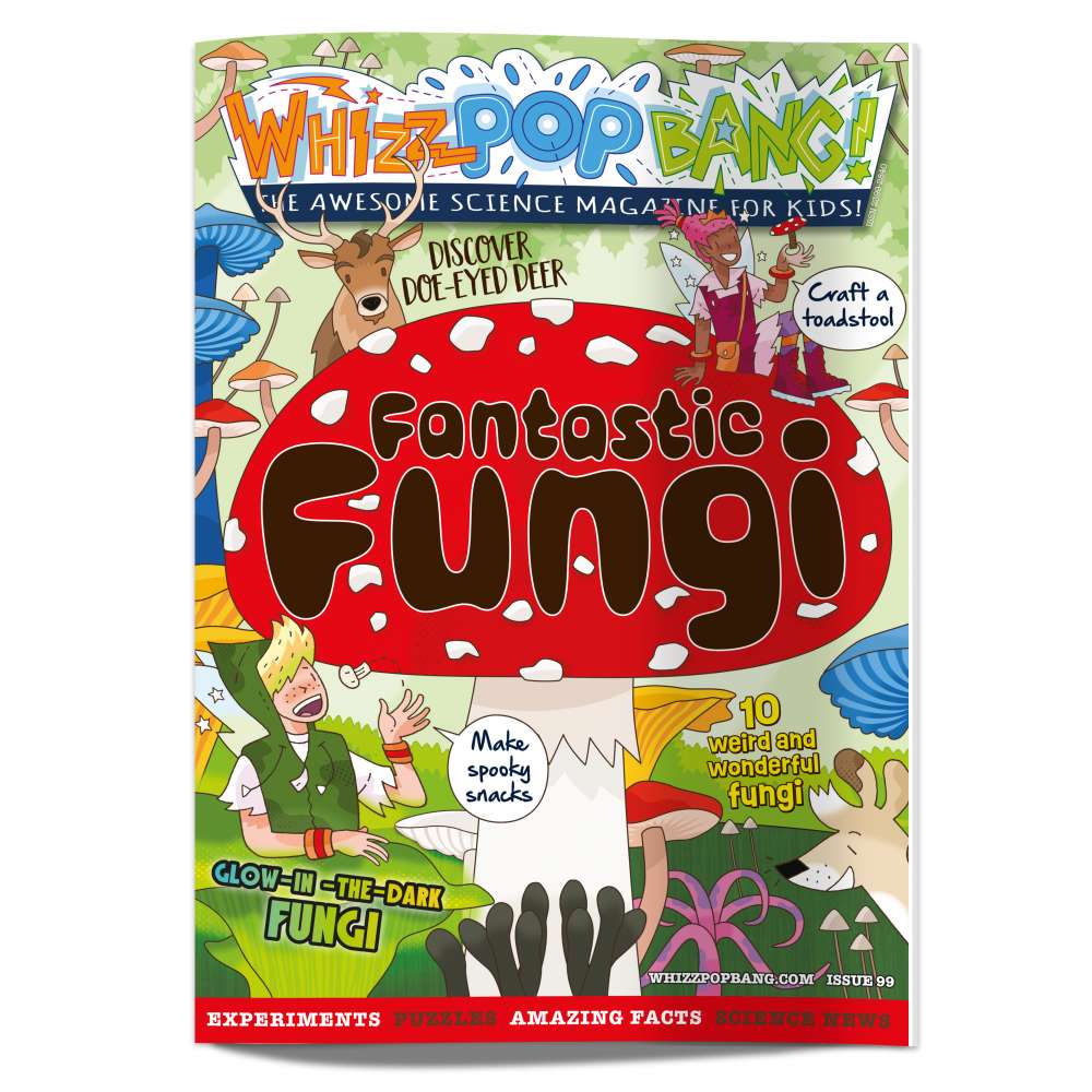 Issue 99 image 1