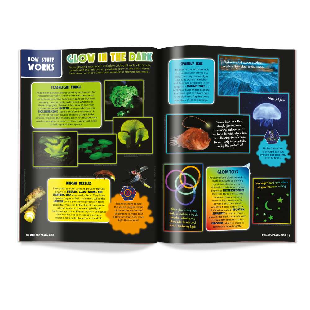 Issue 99 image 3