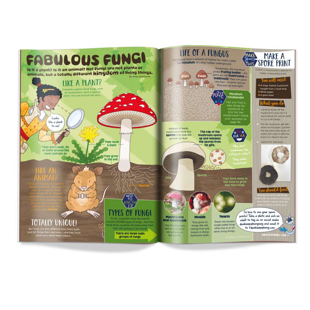 Issue 99 image 2