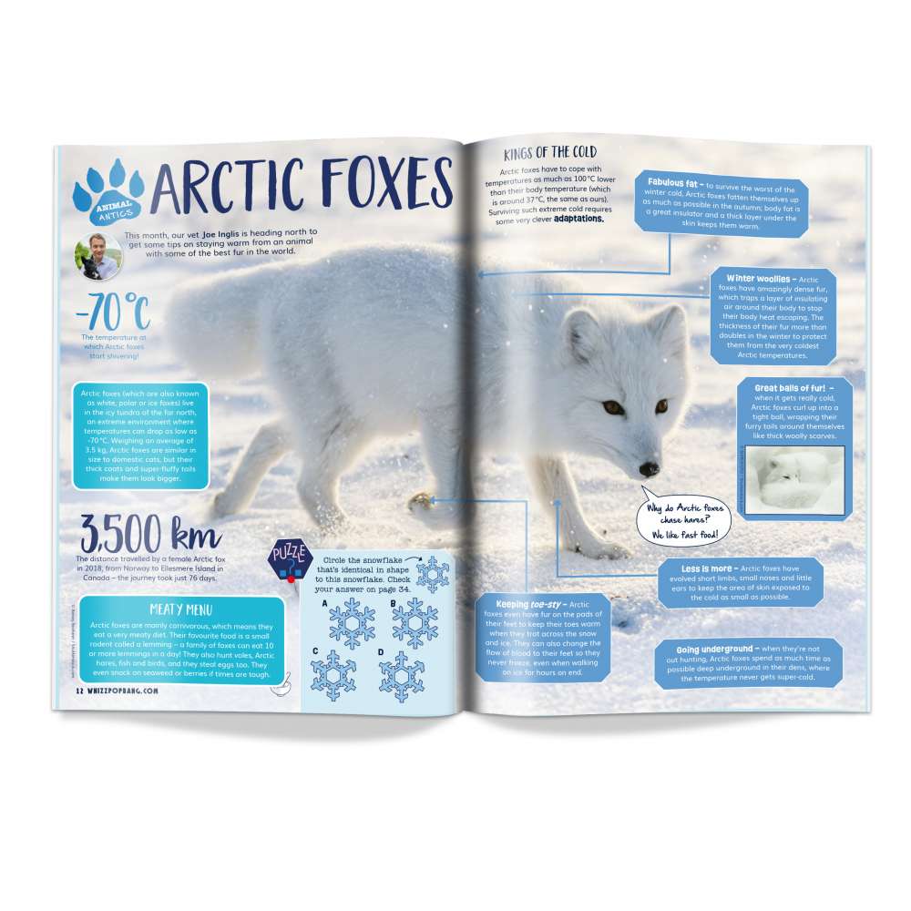 Issue 102 image 3