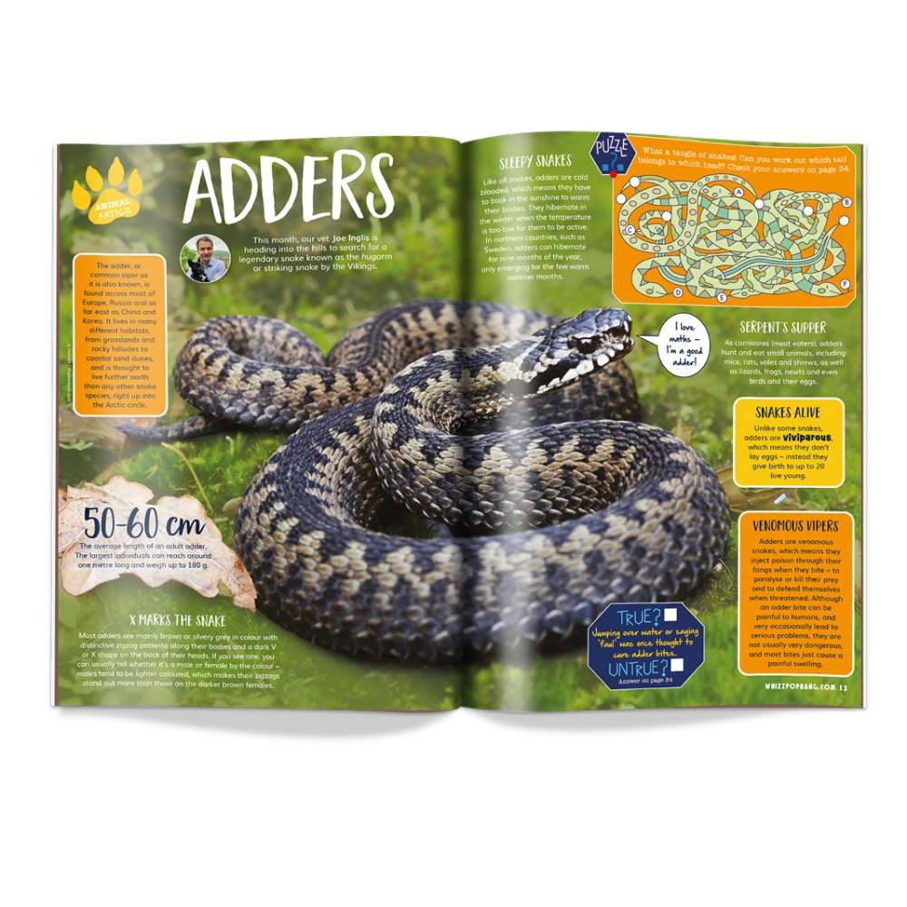 Issue 105 image 3