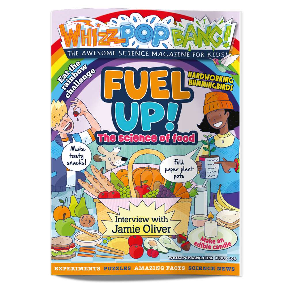Issue 106 image 1