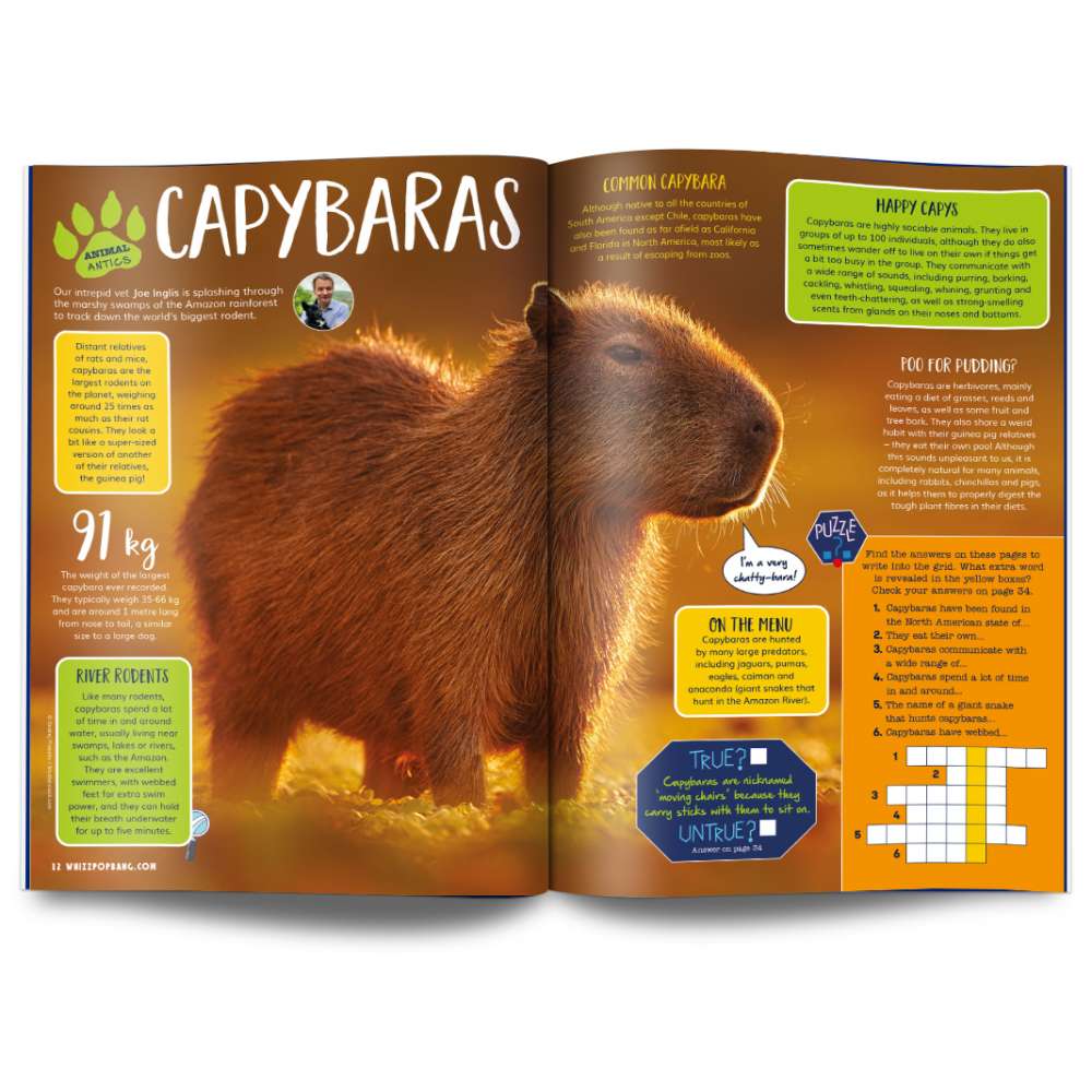 Issue 109 image 4