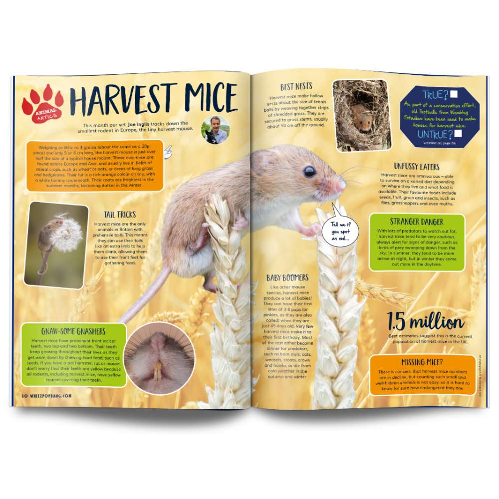 Issue 110 image 3