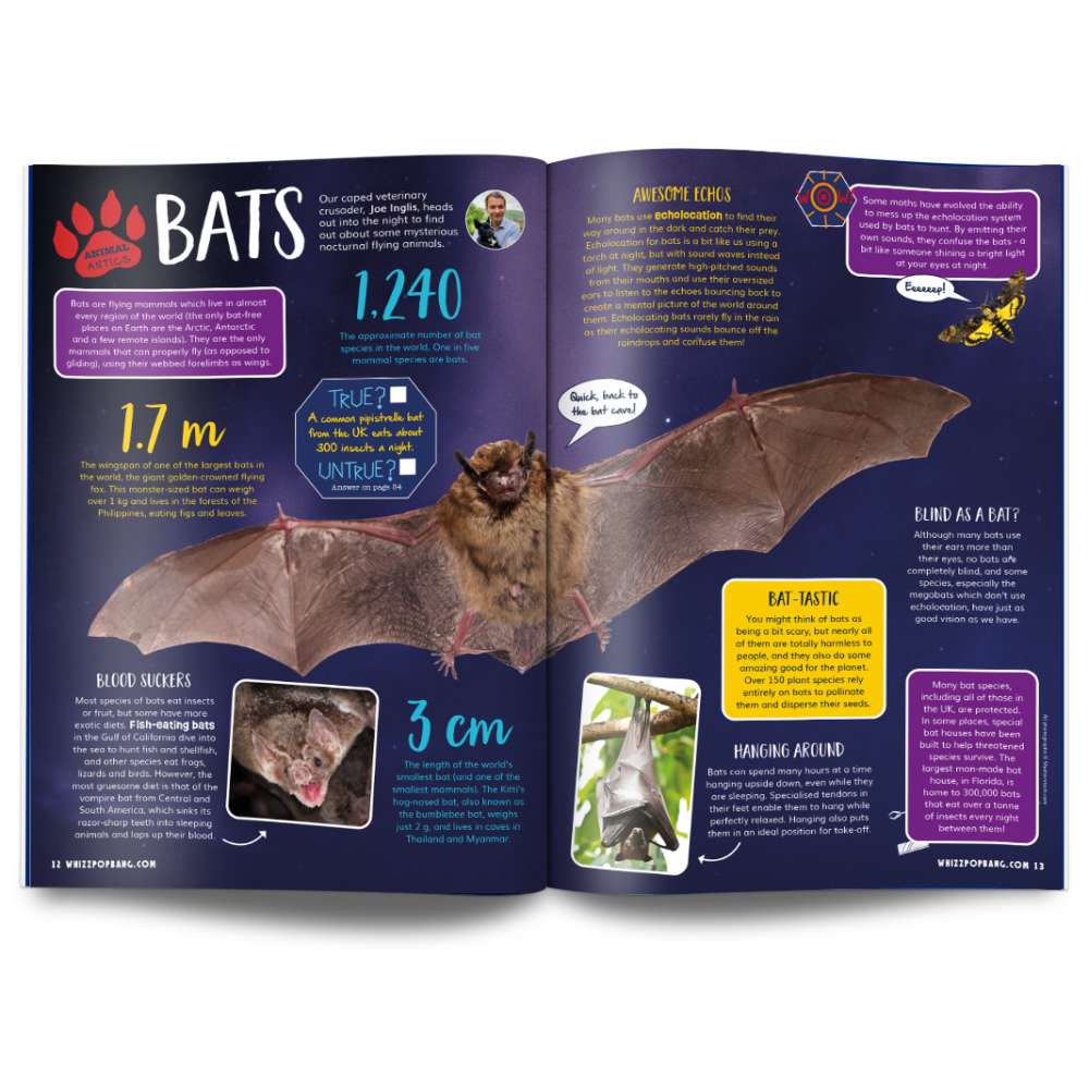 Issue 111 image 3