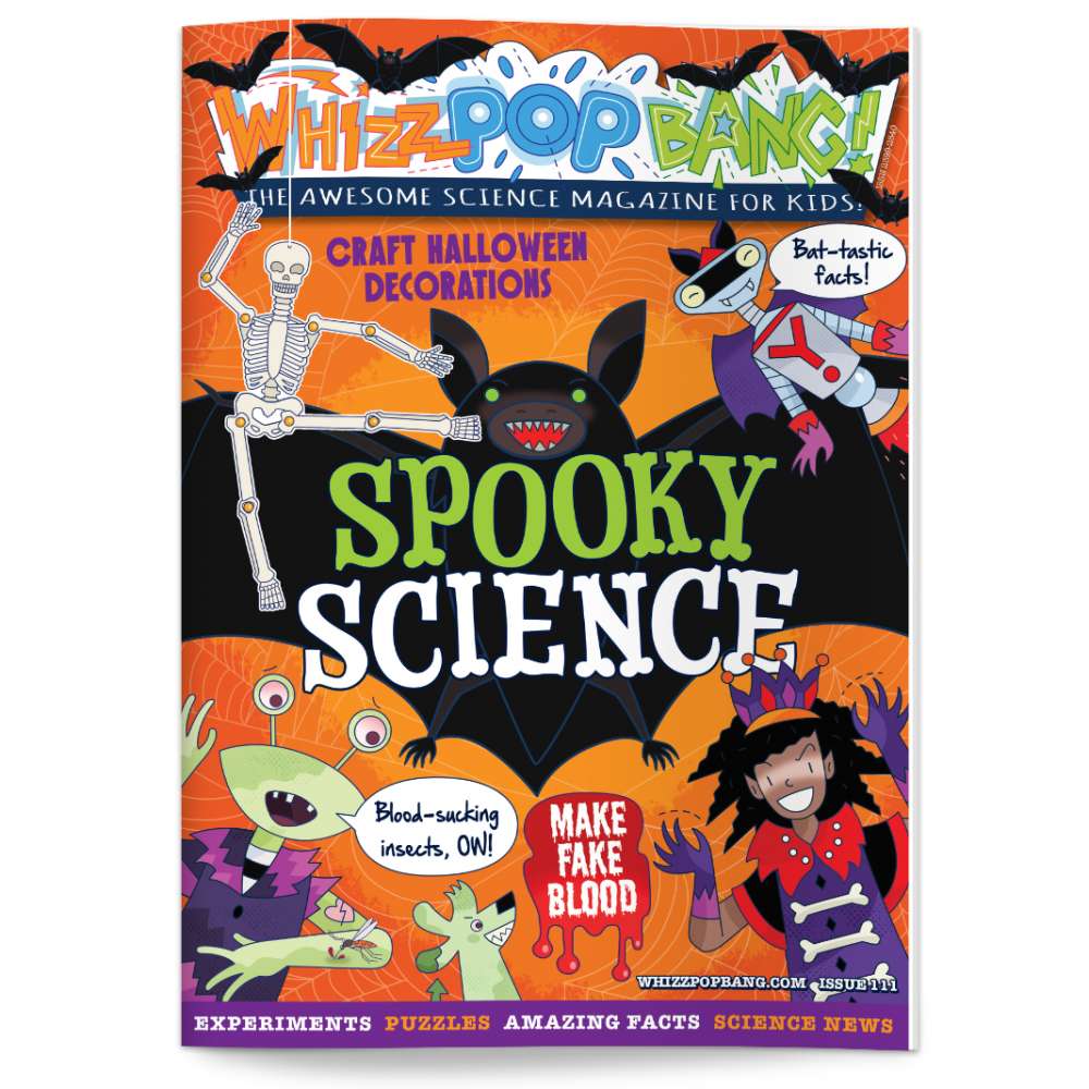 Issue 111 image 1