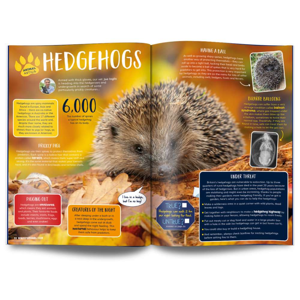 Issue 112 image 3
