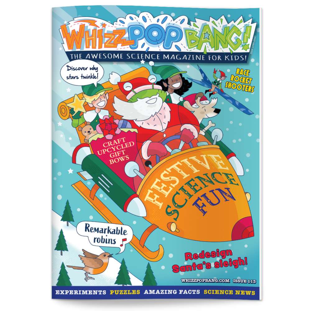 Issue 113 image 1